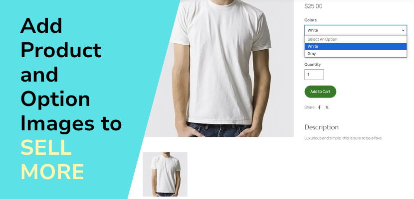 blog title next to screenshot of online store